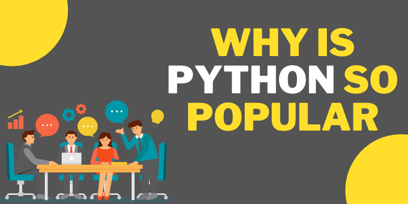 why python programming?