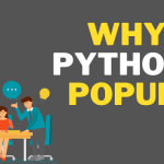 why python programming?